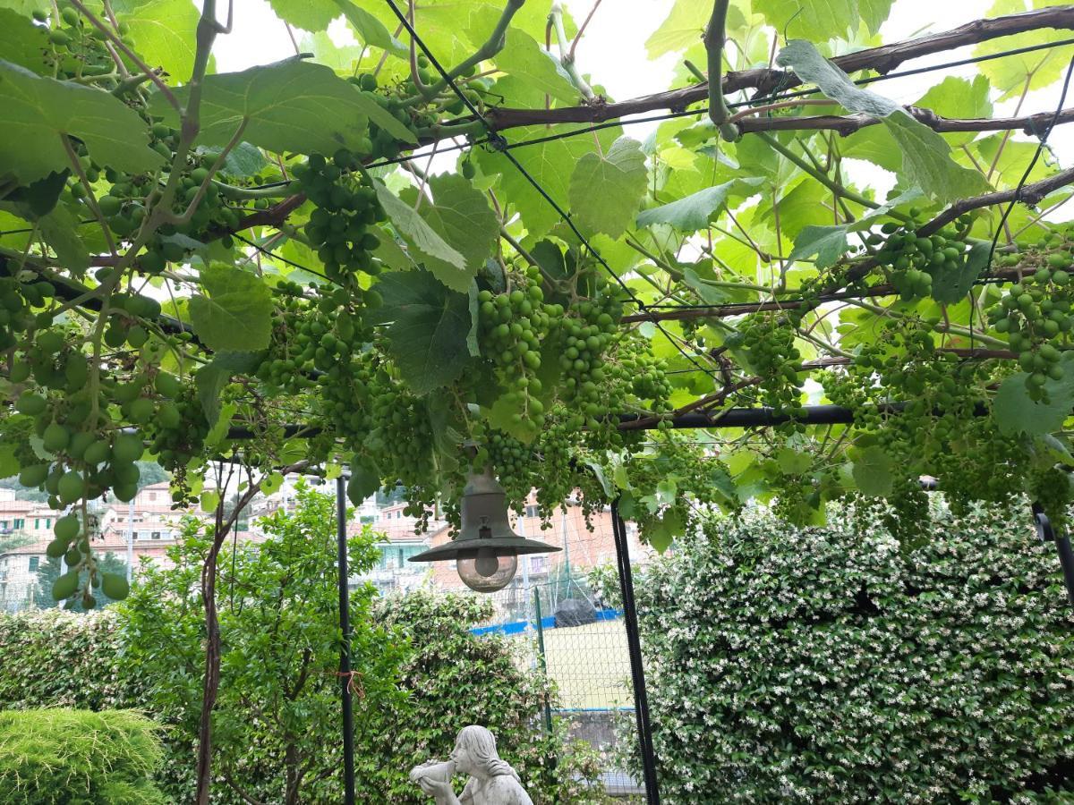 La Villa 斯培西亚 外观 照片