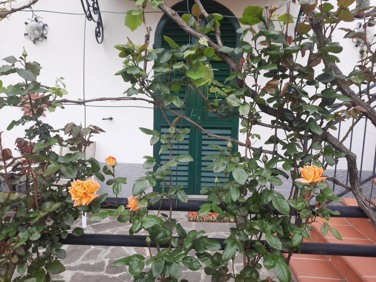 La Villa 斯培西亚 外观 照片