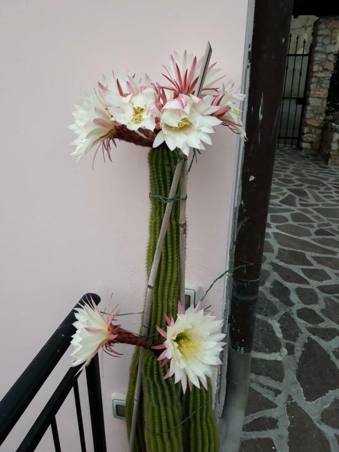 La Villa 斯培西亚 外观 照片
